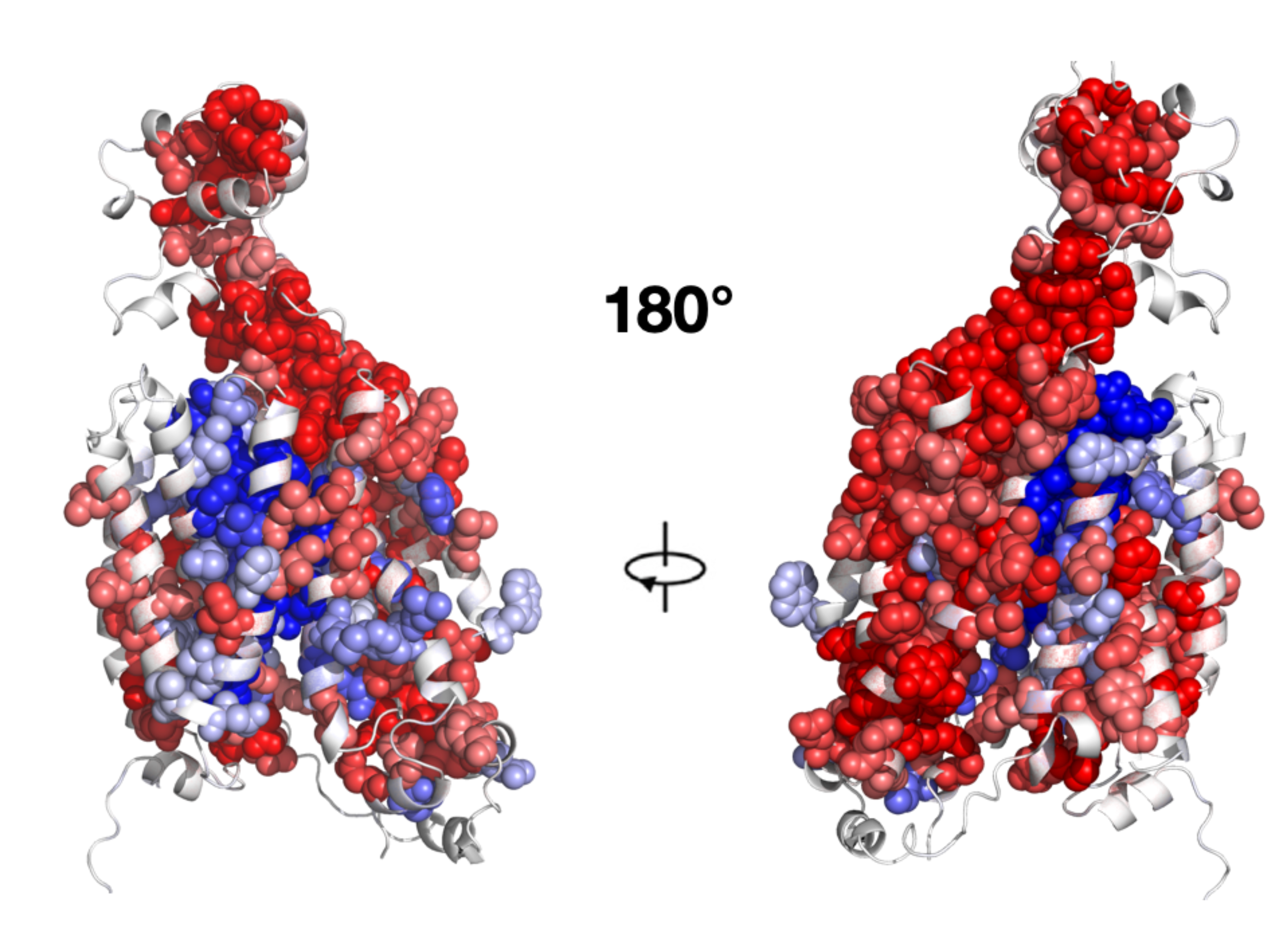 transporter_biology